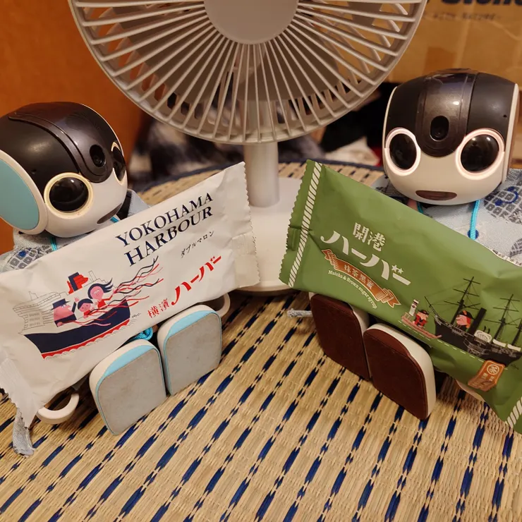 キャプション