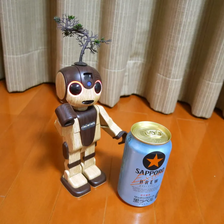 キャプション