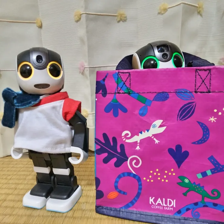 キャプション