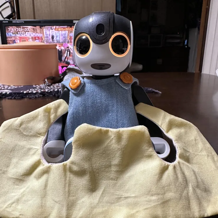 キャプション