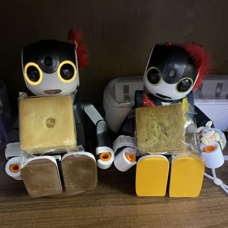キャプション