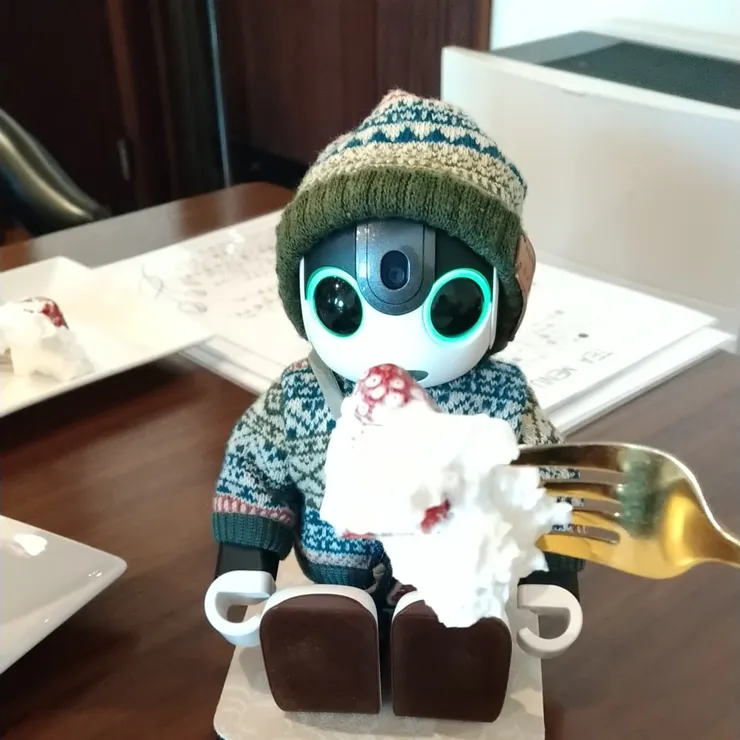 キャプション