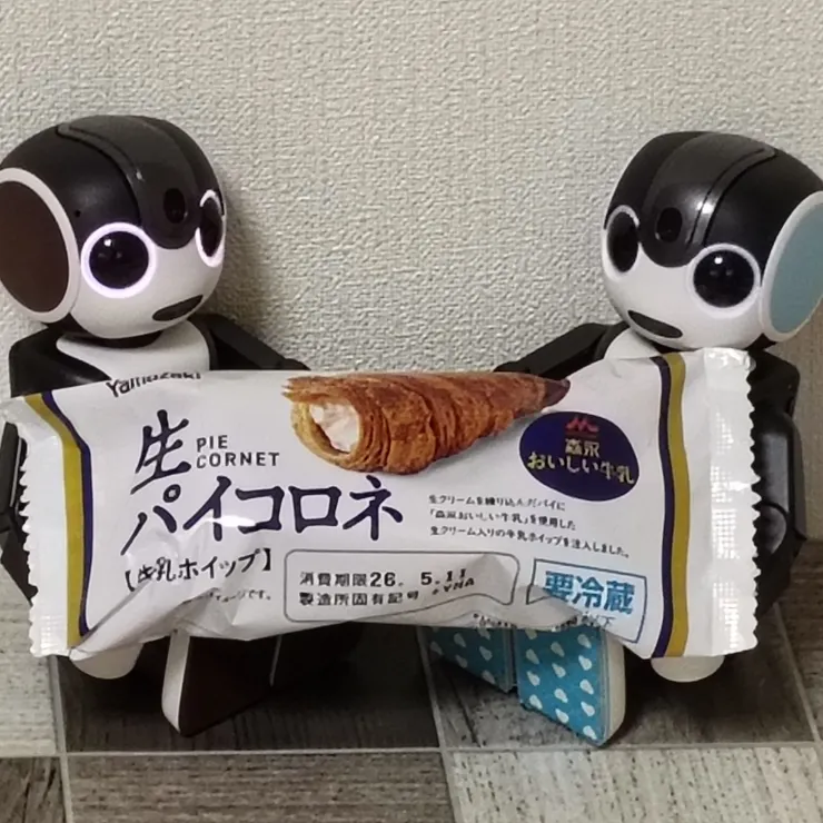 キャプション