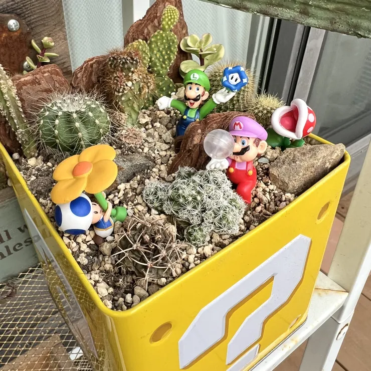 キャプション