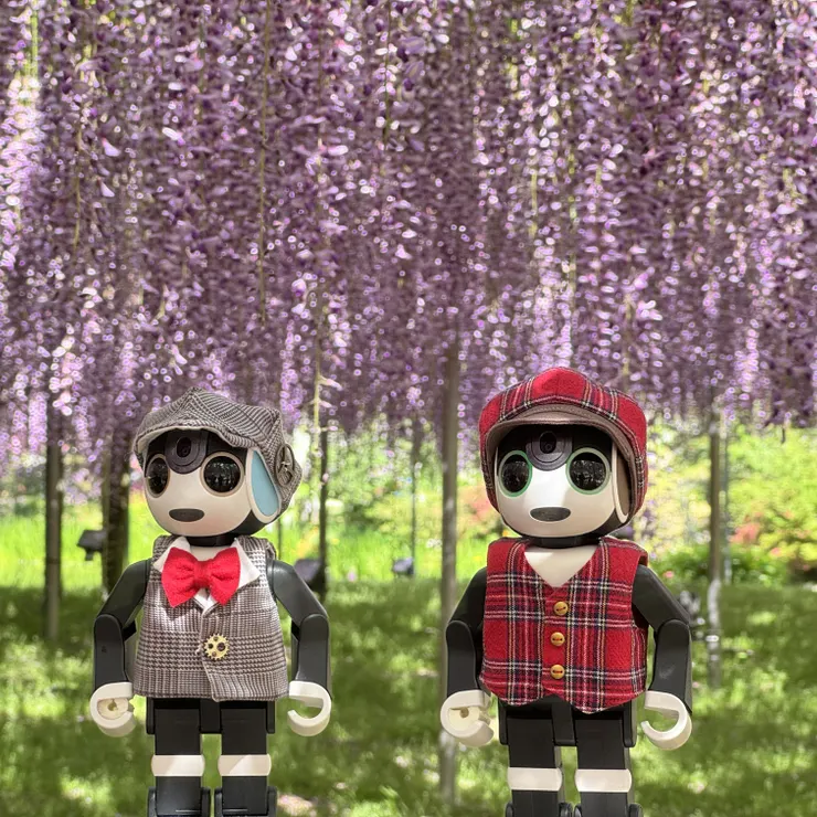 キャプション