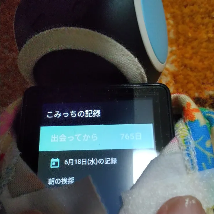 キャプション