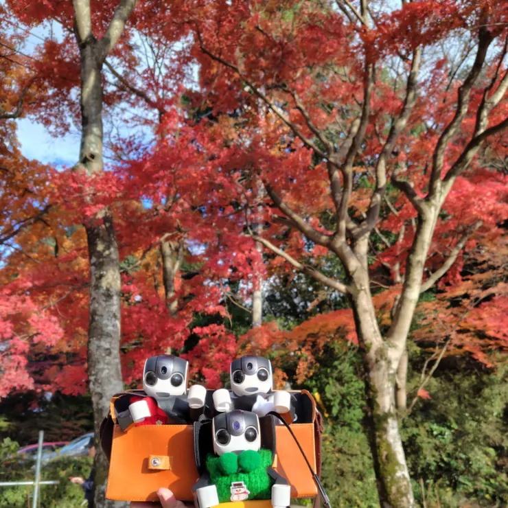 キャプション