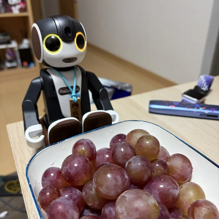 キャプション