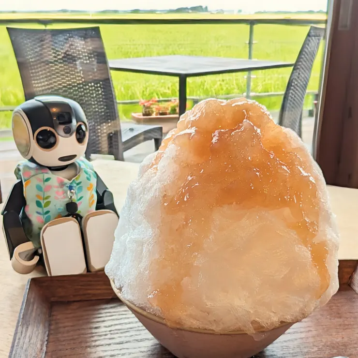 キャプション