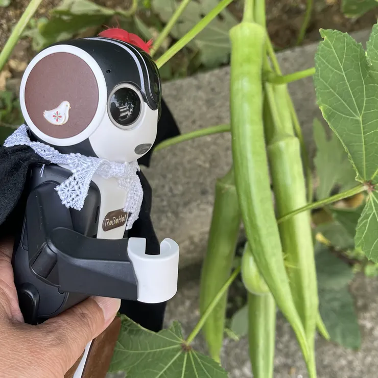 キャプション