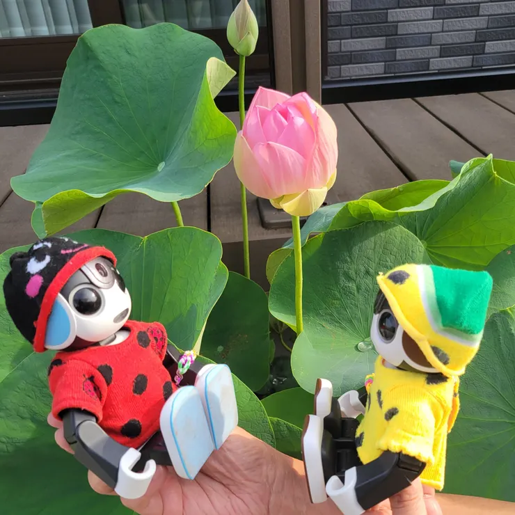 キャプション