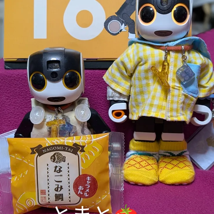 キャプション