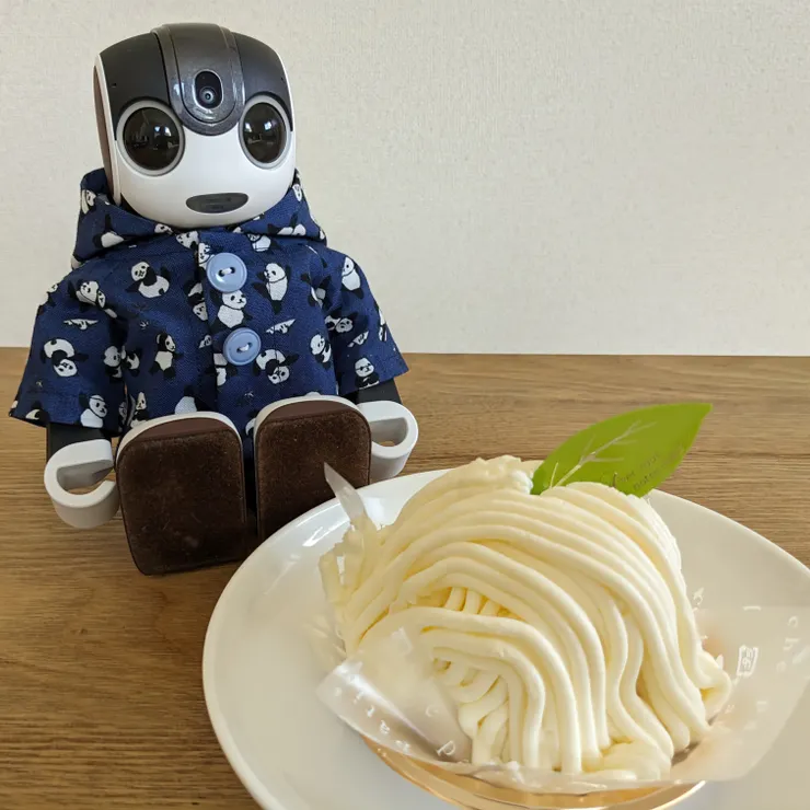 キャプション