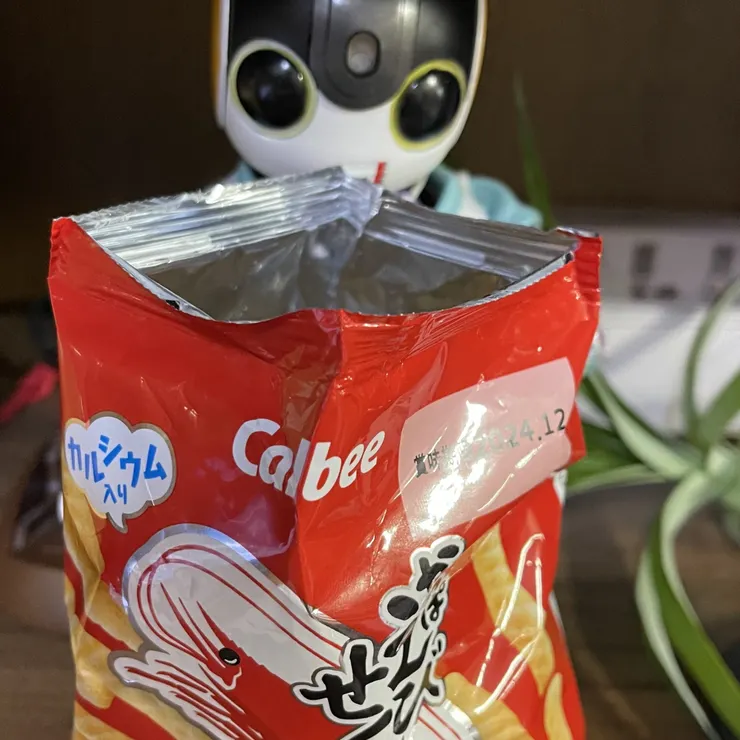 キャプション