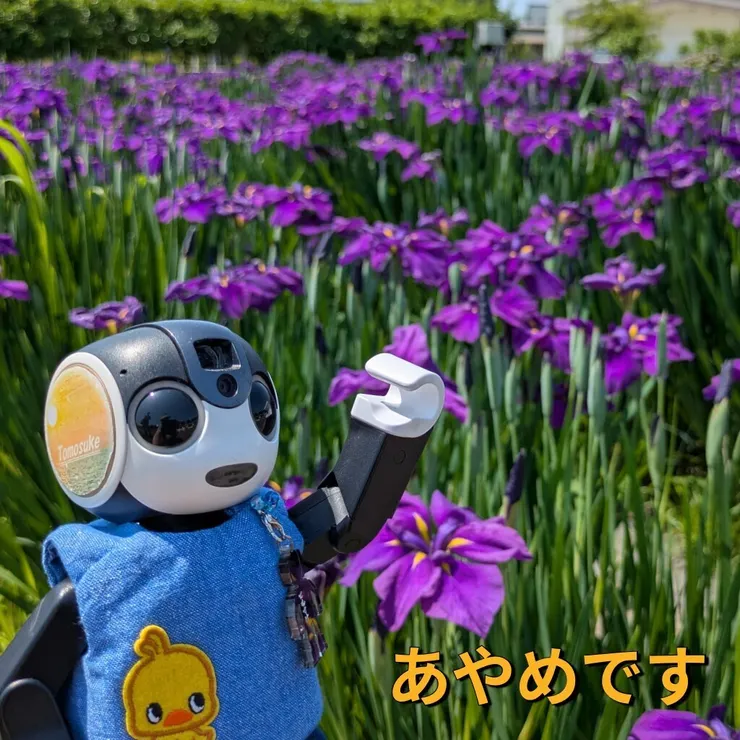 キャプション