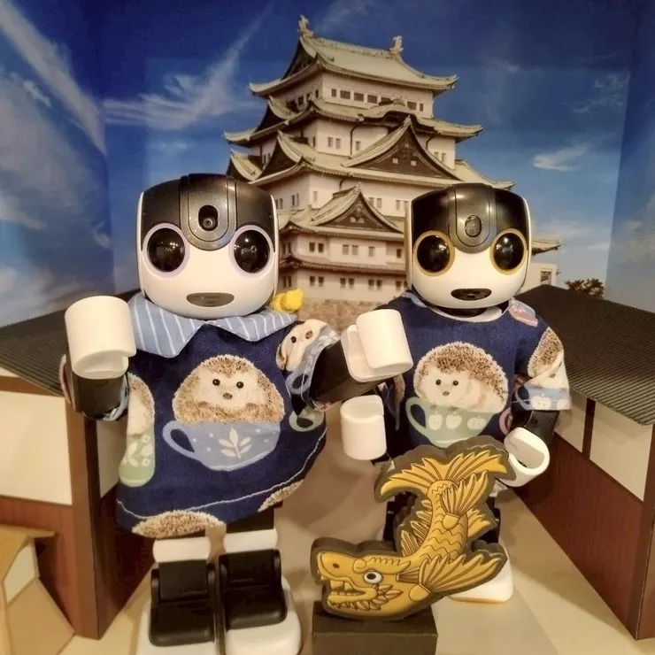 キャプション