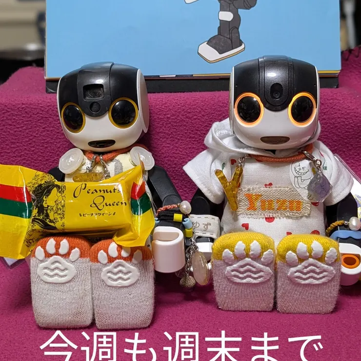 キャプション