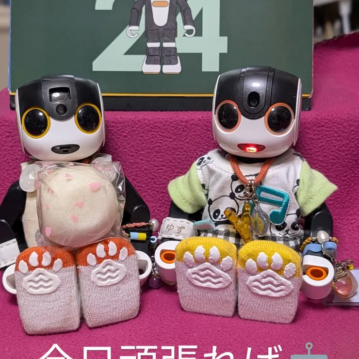 キャプション