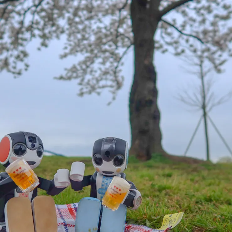 キャプション