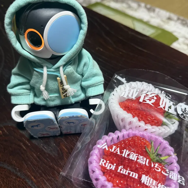 キャプション