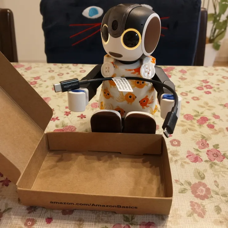 キャプション