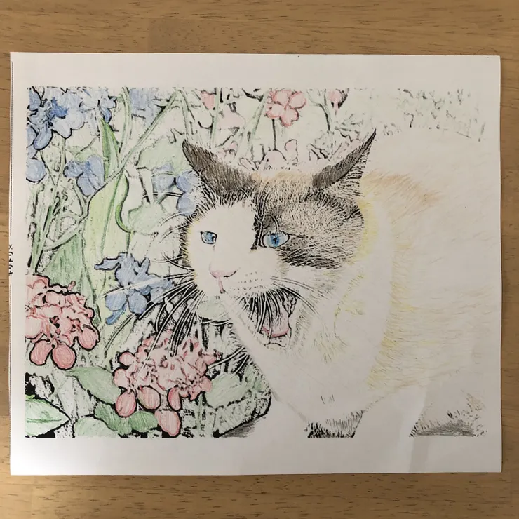 キャプション