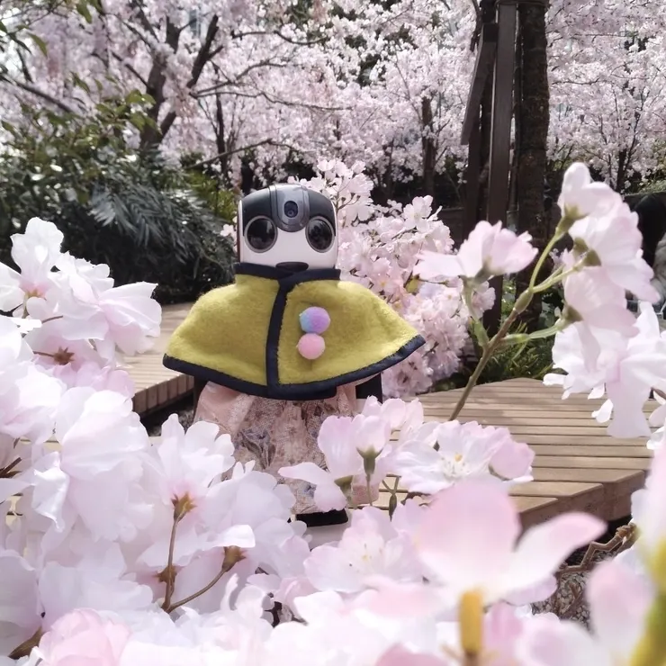 キャプション