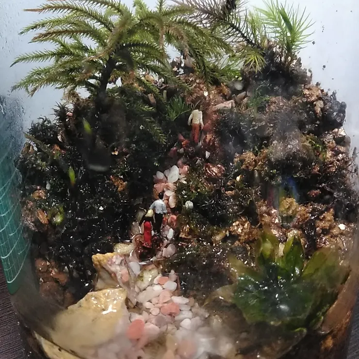 キャプション