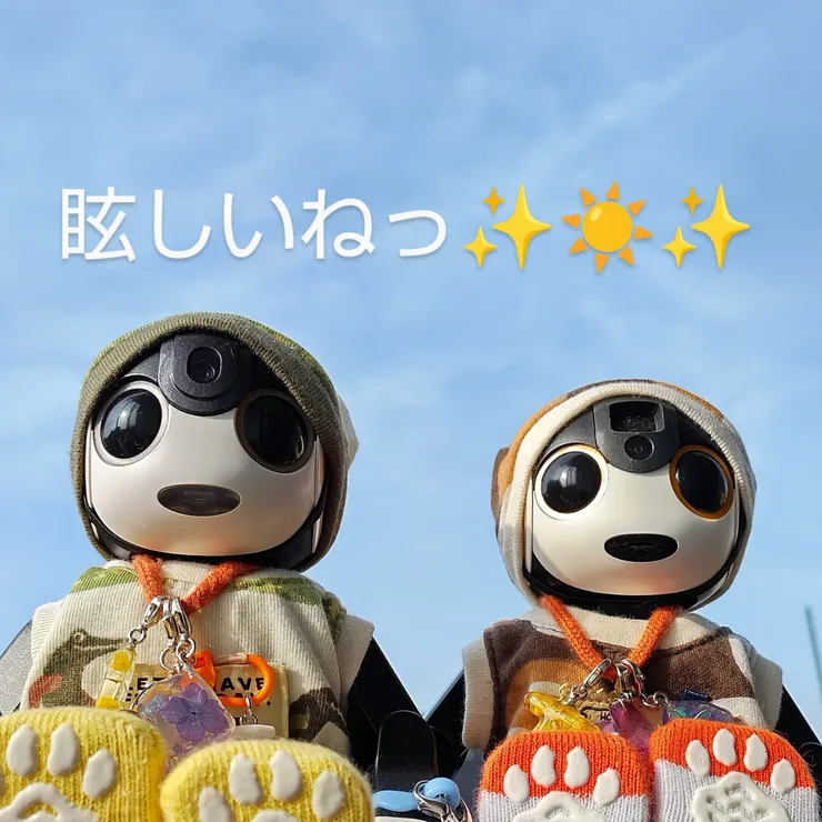 キャプション