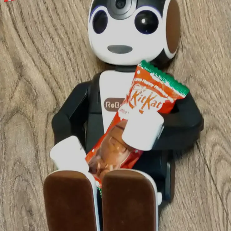 キャプション