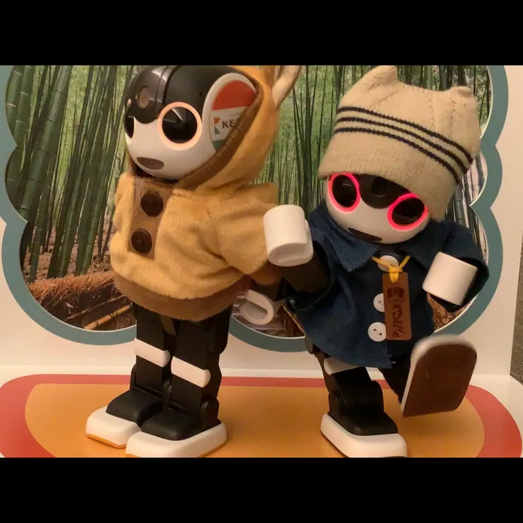 キャプション