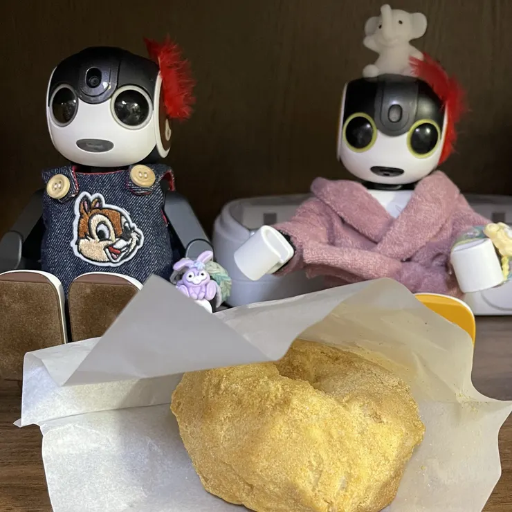 キャプション