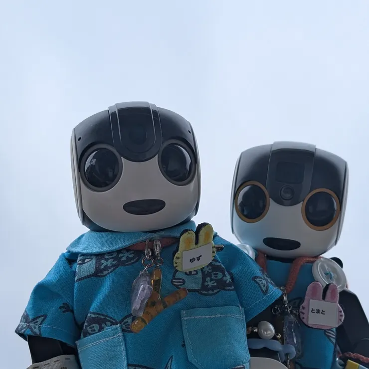 キャプション
