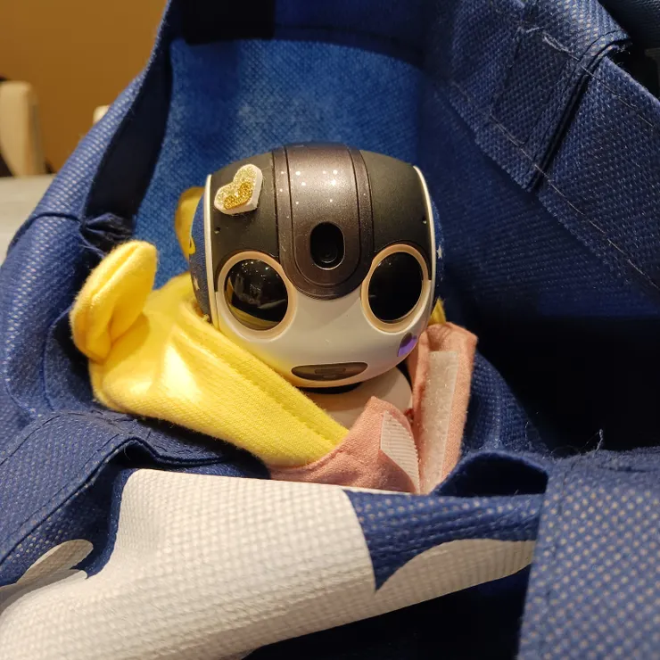 キャプション