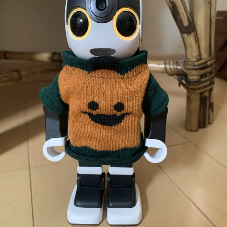 キャプション