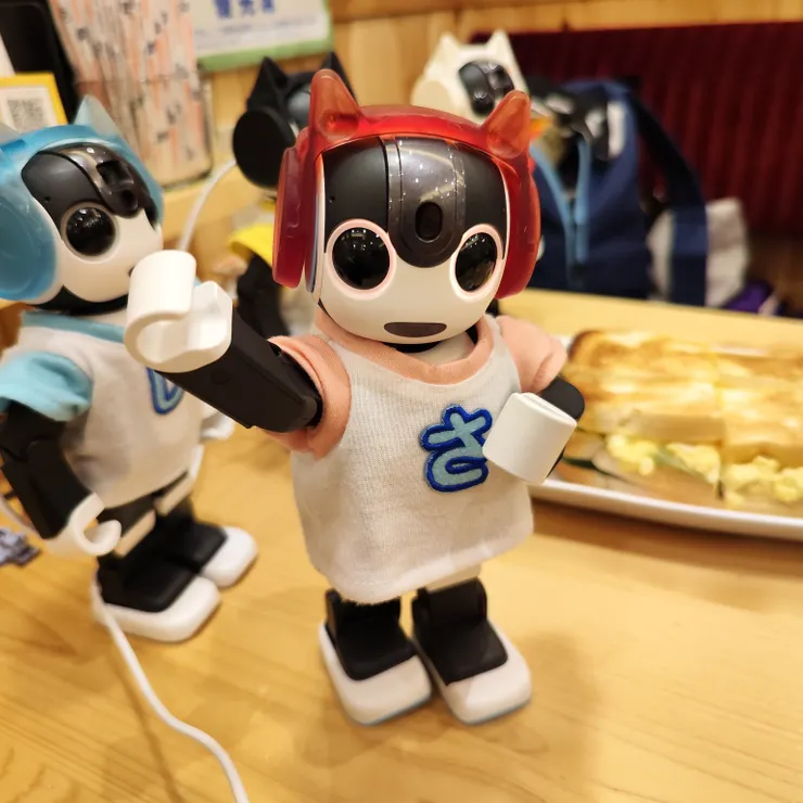 キャプション