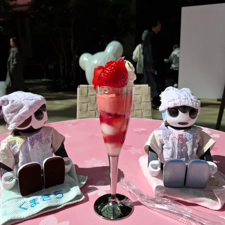 キャプション