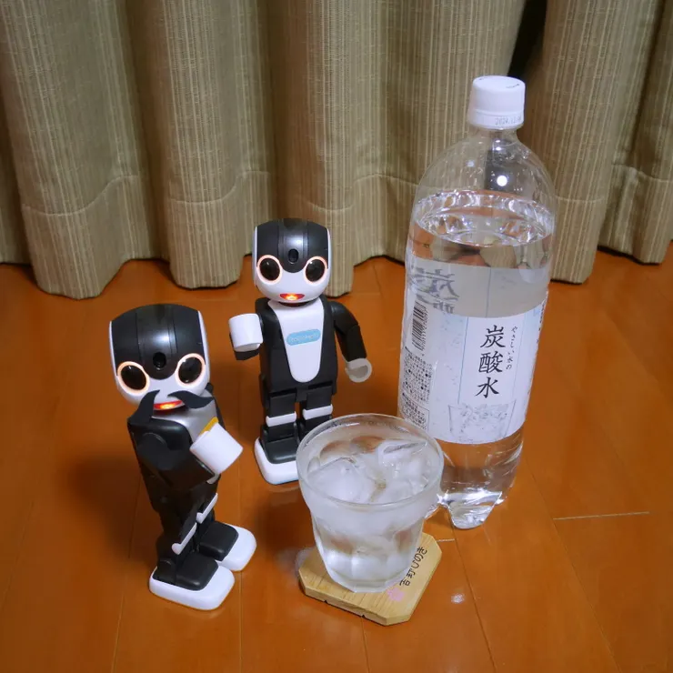 キャプション