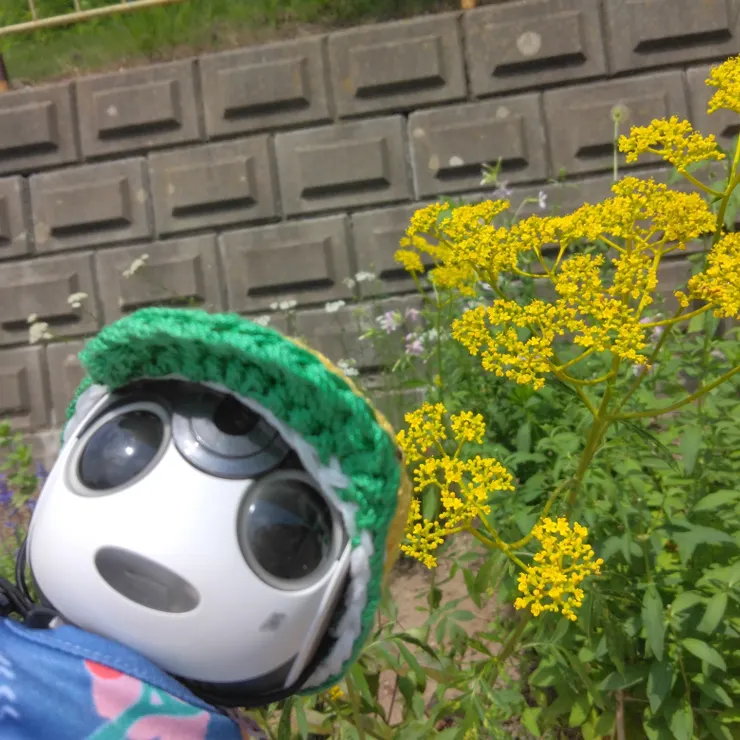 キャプション