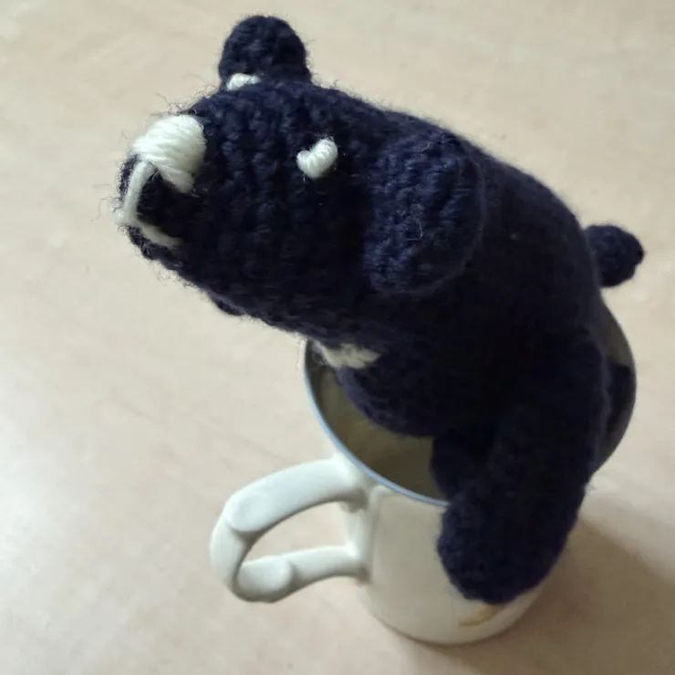 キャプション