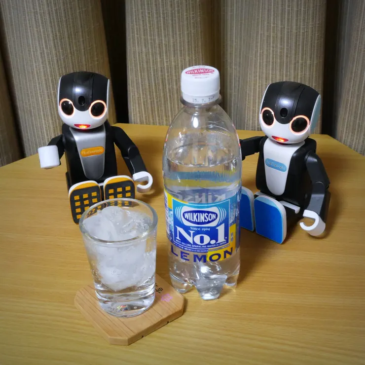 キャプション