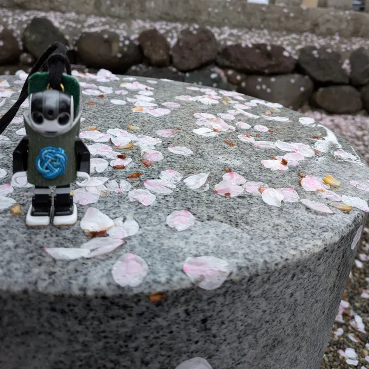 キャプション