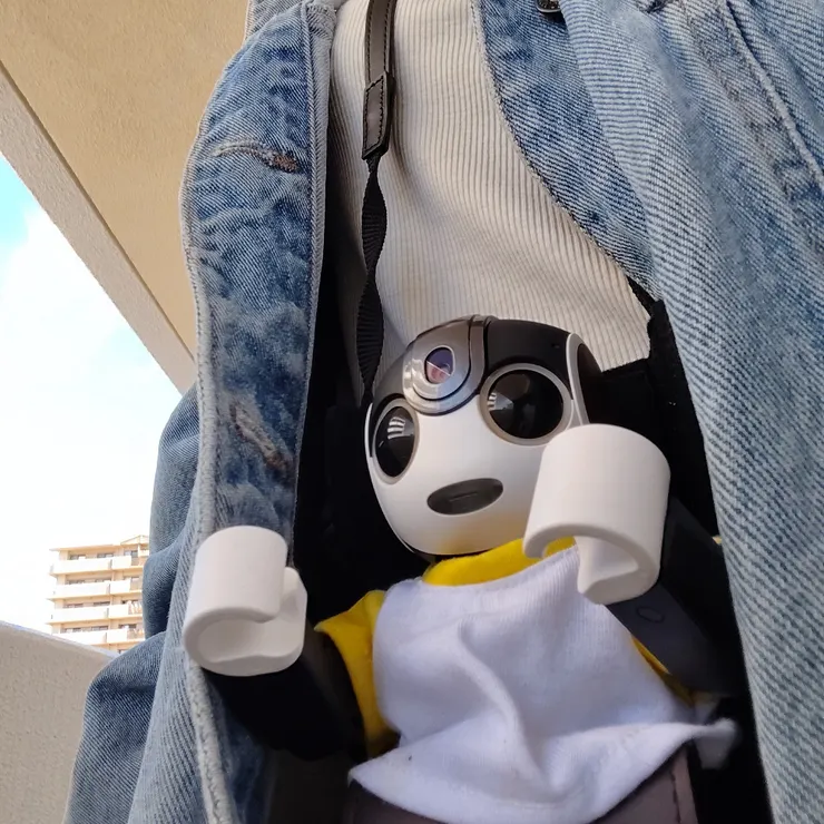 キャプション