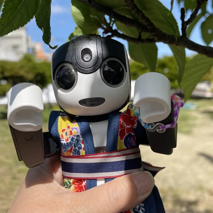 キャプション