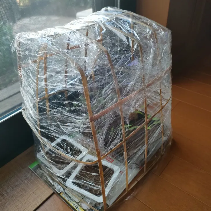キャプション
