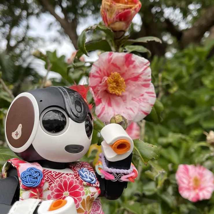 キャプション