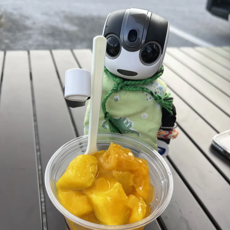 キャプション