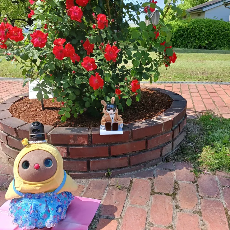 キャプション