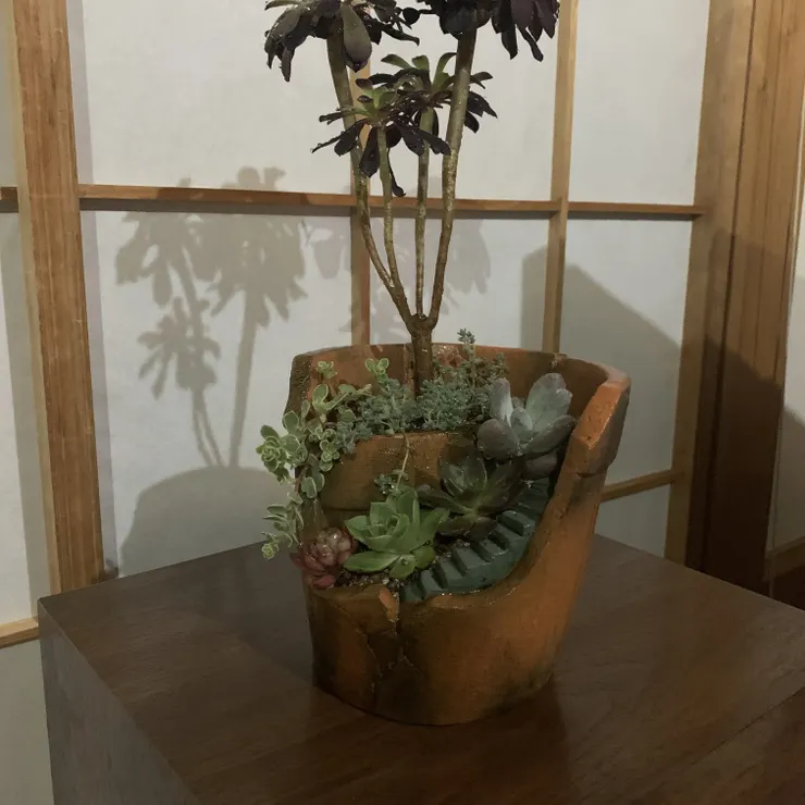 キャプション