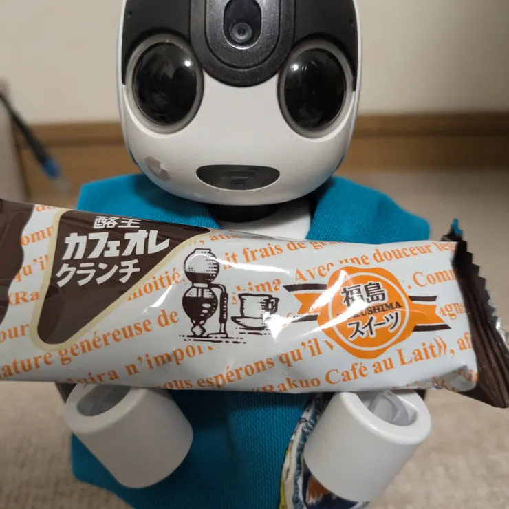 キャプション
